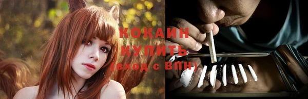 метадон Богданович