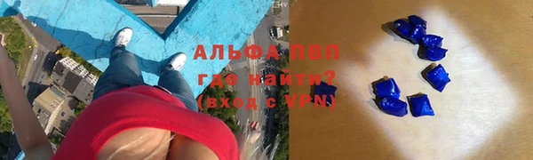 2c-b Бородино
