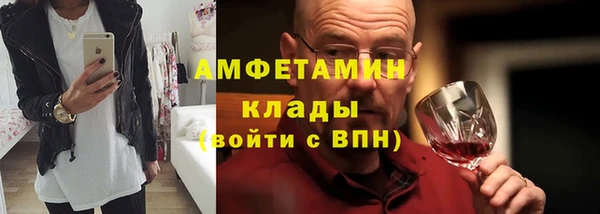 метадон Богданович