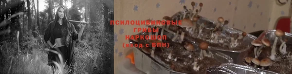 каннабис Богородицк