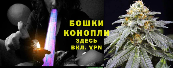 2c-b Бородино