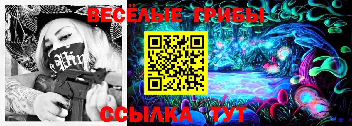 Псилоцибиновые грибы Cubensis  где можно купить   Псилоцибиновые грибы MAGIC MUSHROOMS  Вязники 