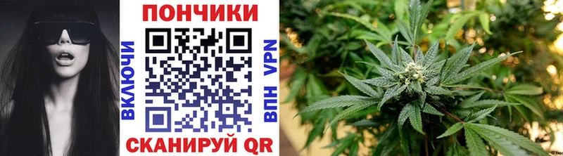 Бошки Шишки гибрид Вязники
